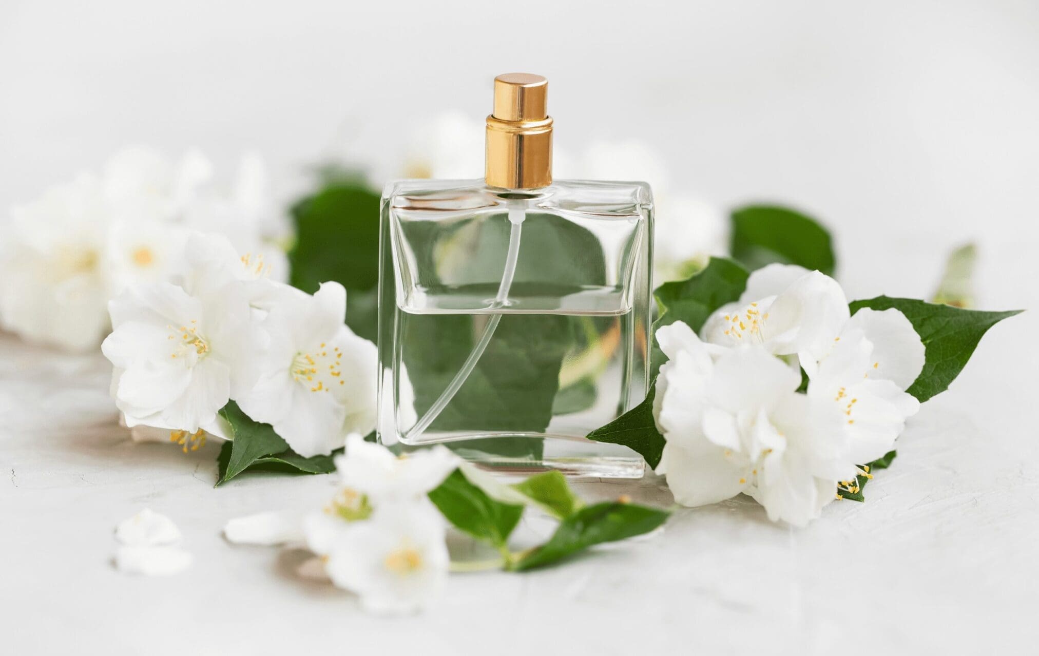 A perfume bottle surrounded by blooming white flowers