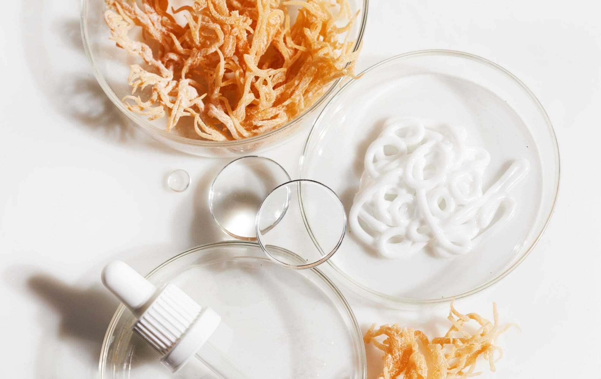 Close-up of a bottle of coconut oil