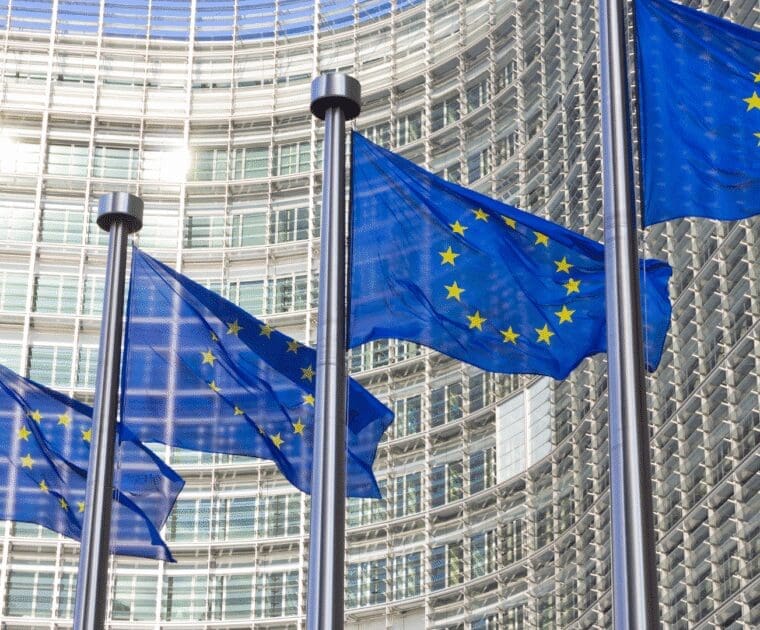 EU flags